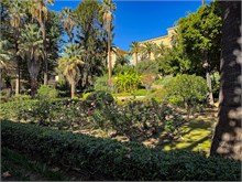 29-Ajaccio-Corscia