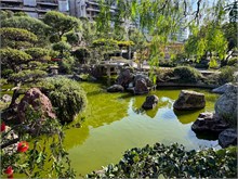 50-Monaco