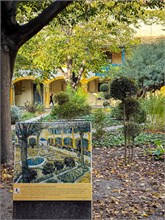 04-Van-Gogh-Arles