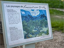 04-Van-Gogh_Saint-Remy