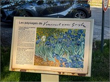 13-Van-Gogh_Saint-Remy