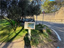 14-Van-Gogh_Saint-Remy