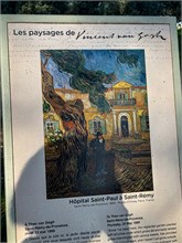 16-Van-Gogh_Saint-Remy