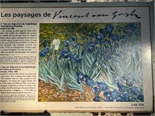 19-Van-Gogh_Saint-Remy