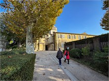 25-Van-Gogh_Saint-Remy