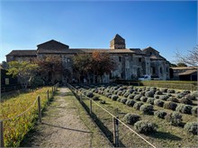64-Van-Gogh_Saint-Remy