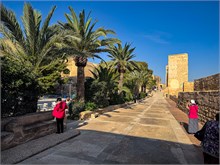 12-Alicante