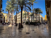 57-Alicante