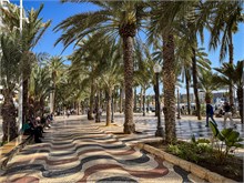 62-Alicante