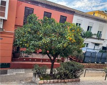 05-Malaga