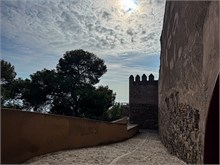 19-Malaga