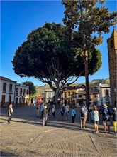 07-Teror_Grand-Canaria