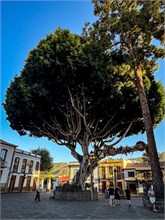 09-Teror_Grand-Canaria