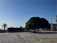 32-Tenerife