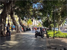37-Tenerife