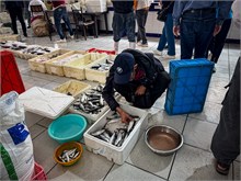 06-Casablanca-Morocco