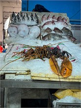 17-Casablanca-Morocco