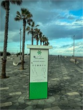 41-Casablanca-Morocco