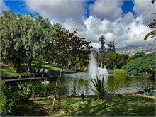 65-Funchal_Madeirq