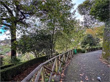 27-Monte_Madeira