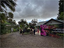 30-Monte_Madeira
