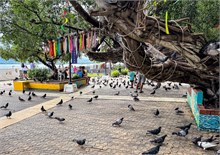 48-San-Juan