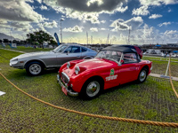 39-Europe-Vehicles-2024