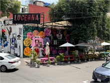 IMG_4391