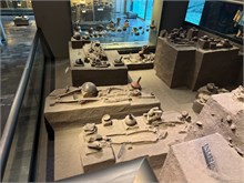 09-Anthropology-Museum