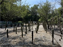 04-Botanical_Garden_CDMX