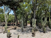 05-Botanical_Garden_CDMX