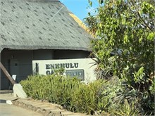 53-Geiger-Camp