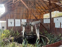 54-Geiger-Camp