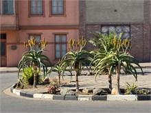 18-Luderitz-Namibia-2