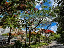 35-Tenerife-062024