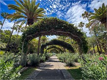 36-Tenerife-062024