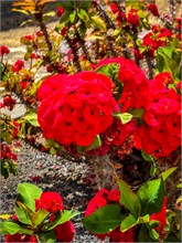 57-Arrecife-0624