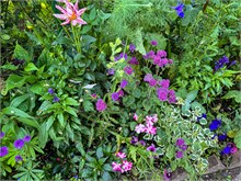 16-Giverny-Gardens