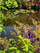 25-Giverny-Gardens