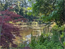 21-Girerny-Water-Lillies