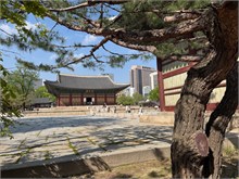 010-Deoksugung-Palace