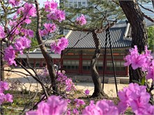 020-Deoksugung-Palace