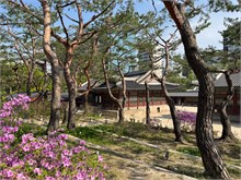 022-Deoksugung-Palace