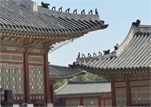 011-Seoul-2025