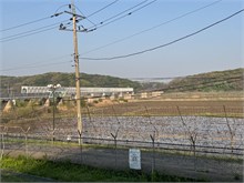 004-DMZ-2025
