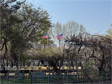 033-DMZ-2025