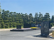 003-UN-Memorial-Cemetary