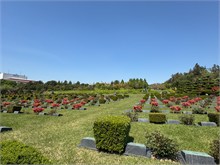 022-UN-Memorial-Cemetary