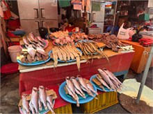 007-Jagalchi-Fish-Market