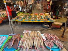 010-Jagalchi-Fish-Market